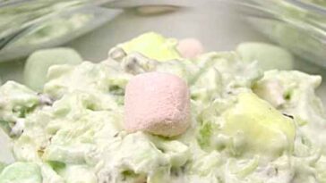 AMBROSIA SALAD with cool whip