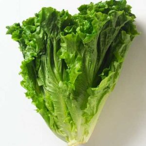 How to keep lettuce fresh in fridge