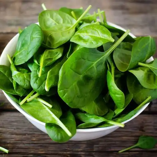 Spinach 101: Health Benefits, Storage, Recipe